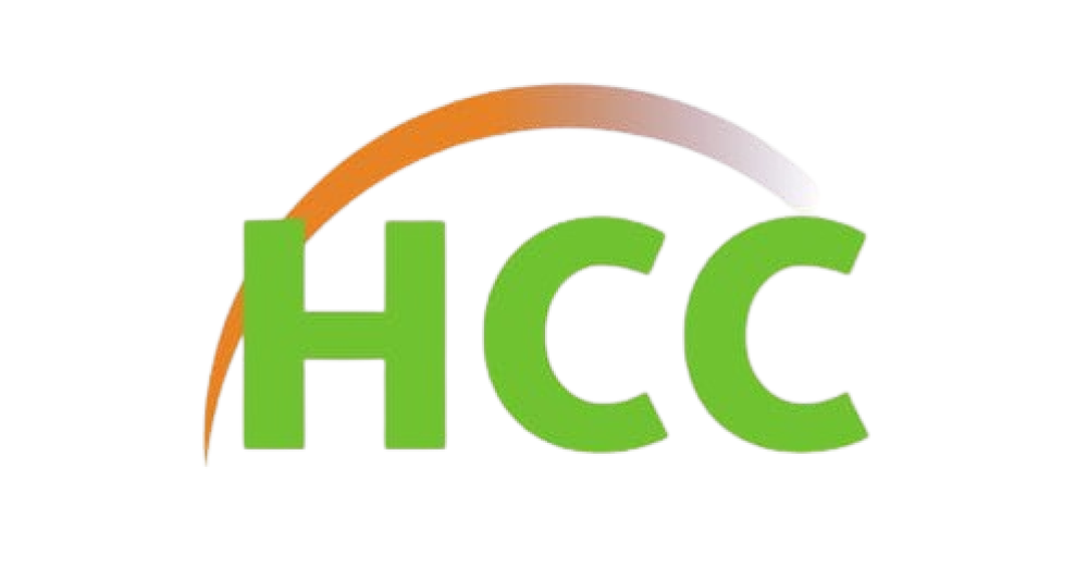 Hybrid Continental Consult Limited